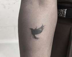 Warren has a bird tattoo on his right arm?s wrist and other tattoo left wrist.